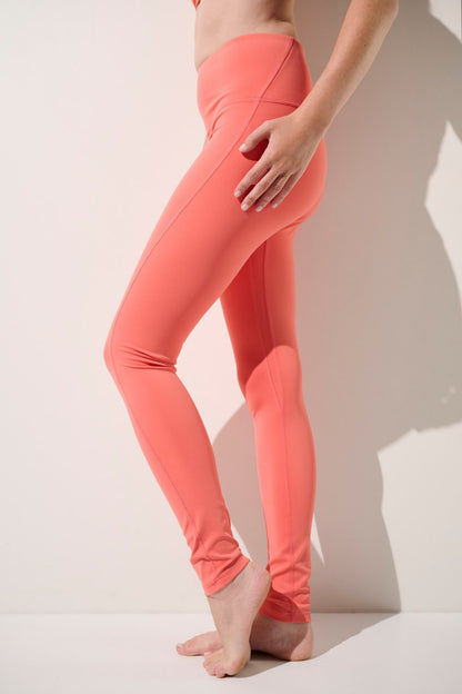 UV Swim legging - Galápagos